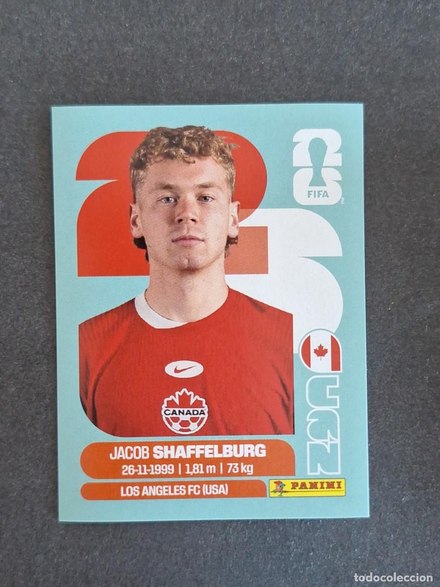 Figurine di Calcio: L2 SAHFFELBURG SELECCION CANADA 14 PANINI MUNDIAL FIFA WORLD CUP 2026 PANINI NUNCA PEGADO SIN PEGAR