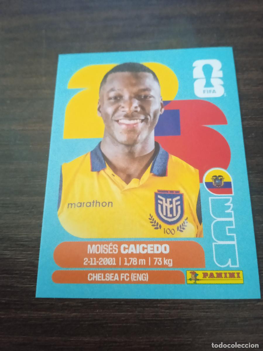 Cromos de Futebol: Cromo Mundial Futbol 2026 Panini canada usa Mexico Ecuador Moises Caicedo ECU 9