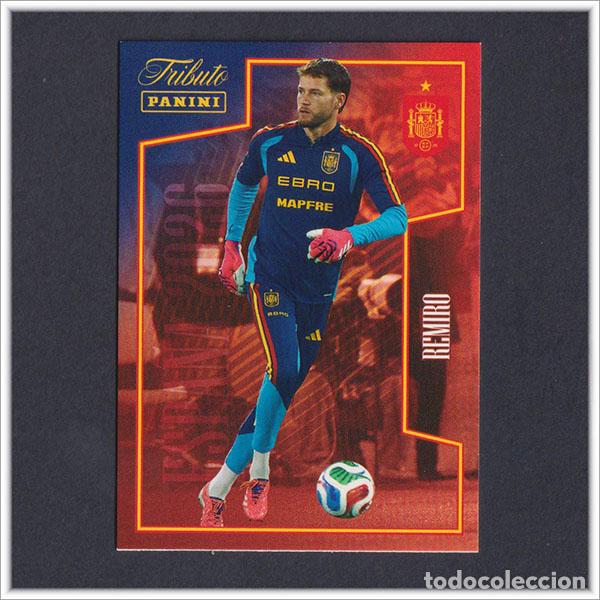 Cromos de F&uacute;tbol: TRIBUTO SELECCI&Oacute;N ESPA&Ntilde;OLA 2010 2026 PANINI REMIRO 39 ESPA&Ntilde;A COLECCI&Oacute;N LIGA ALBUM MUNDIAL