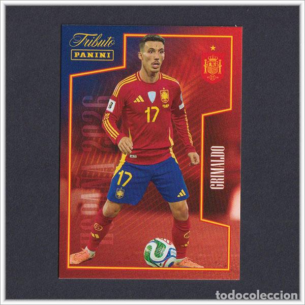 Cromos de F&uacute;tbol: TRIBUTO SELECCI&Oacute;N ESPA&Ntilde;OLA 2010 2026 PANINI GRIMALDO 49 ESPA&Ntilde;A COLECCI&Oacute;N LIGA ALBUM MUNDIAL