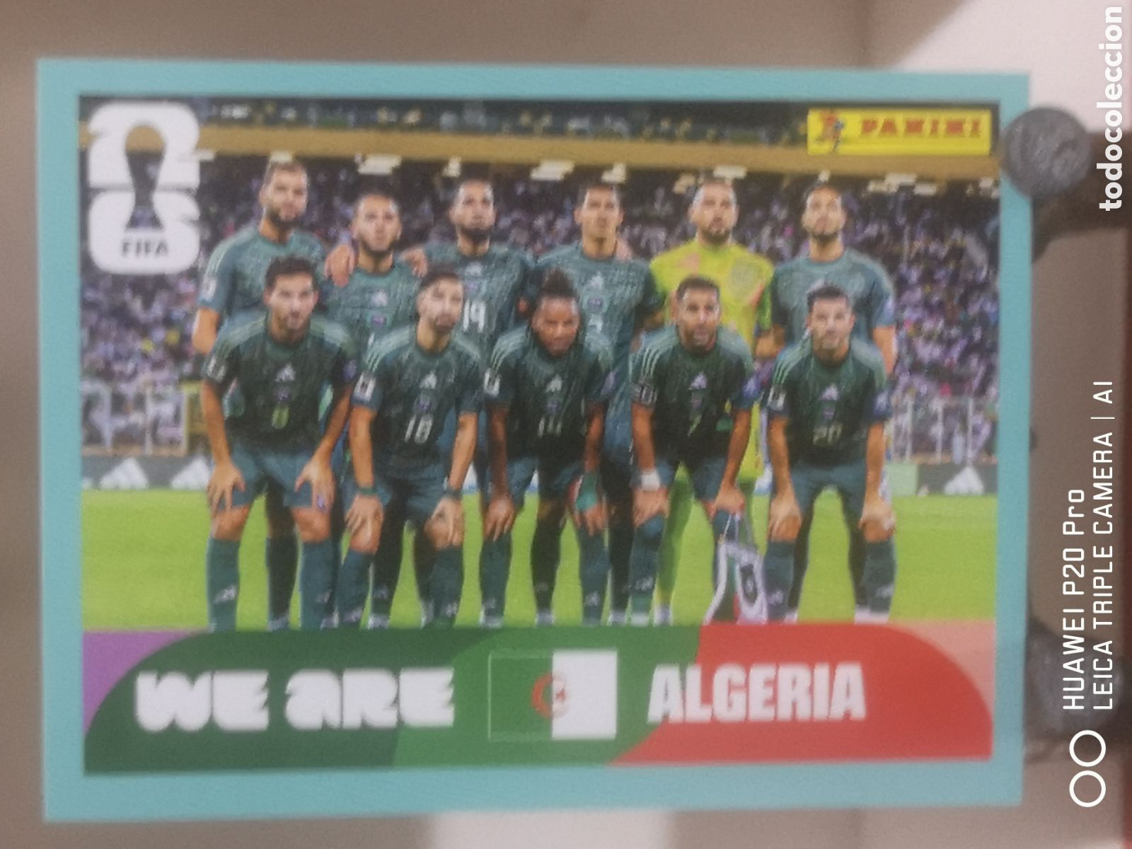 Cromos de F&uacute;tbol: FIFA WORLD CUP MUNDIAL 2026 ALINEACI&Oacute;N ALGERIA - ALG 13