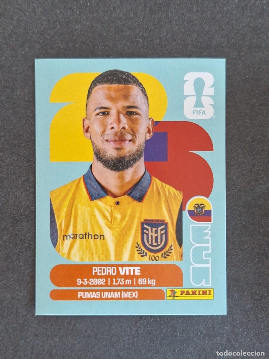 Cromos de F&uacute;tbol: L2 VITE SELECCION ECUADOR 12 PANINI MUNDIAL FIFA WORLD CUP 2026 PANINI NUNCA PEGADO