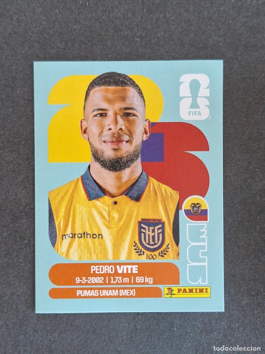Cromos de F&uacute;tbol: L2 VITE SELECCION ECUADOR 12 PANINI MUNDIAL FIFA WORLD CUP 2026 PANINI NUNCA PEGADO