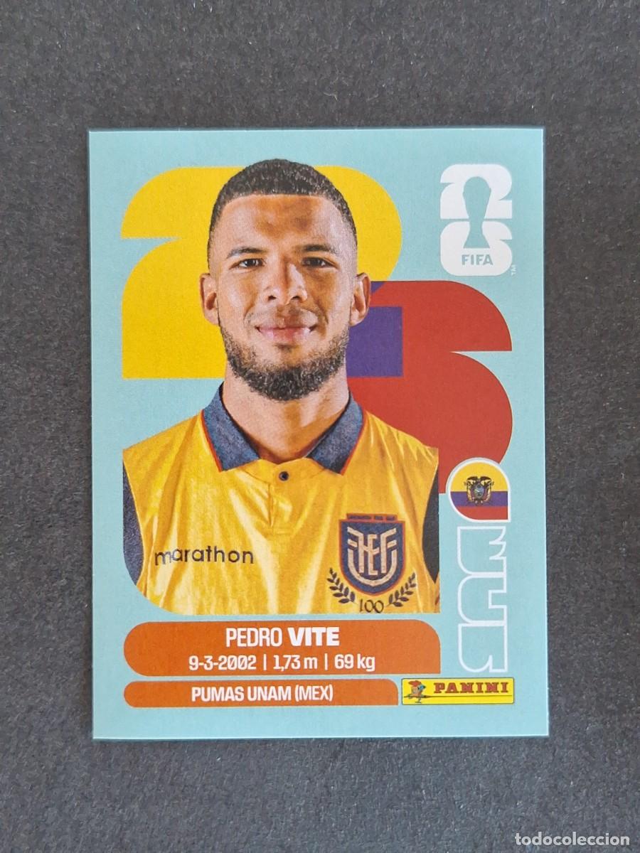 Cromos de F&uacute;tbol: L2 VITE SELECCION ECUADOR 12 PANINI MUNDIAL FIFA WORLD CUP 2026 PANINI NUNCA PEGADO