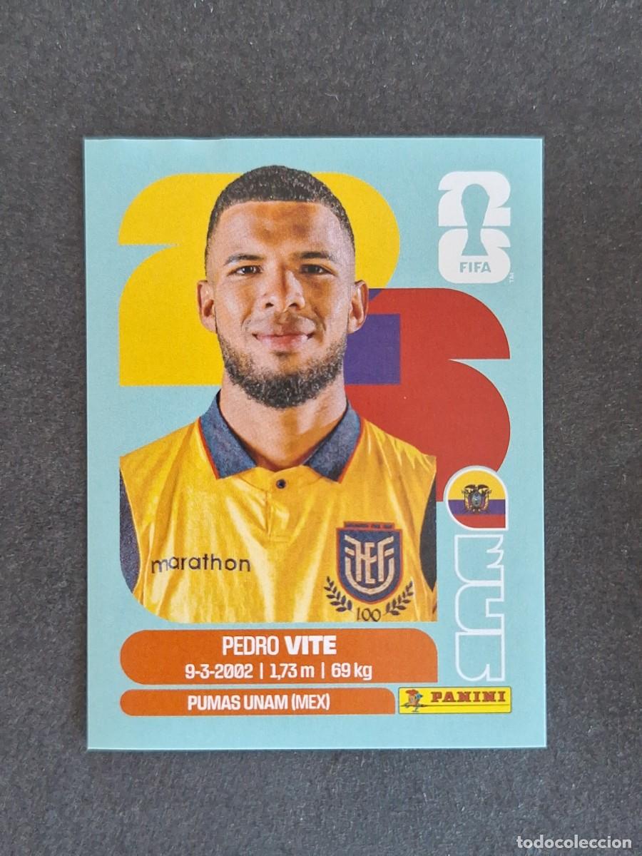Cromos de F&uacute;tbol: L2 VITE SELECCION ECUADOR 12 PANINI MUNDIAL FIFA WORLD CUP 2026 PANINI NUNCA PEGADO