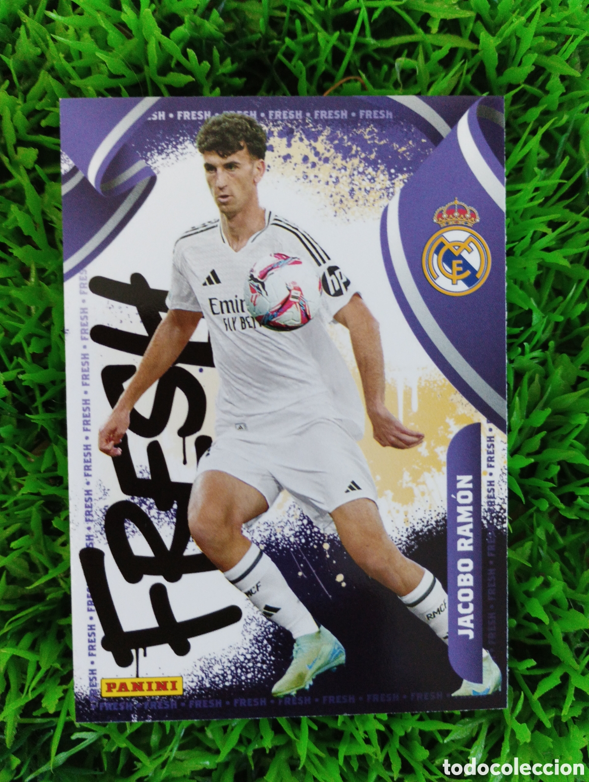 Cromos de F&uacute;tbol: Jacobo Ramon Real Madrid Panini Club 24-25 # 49