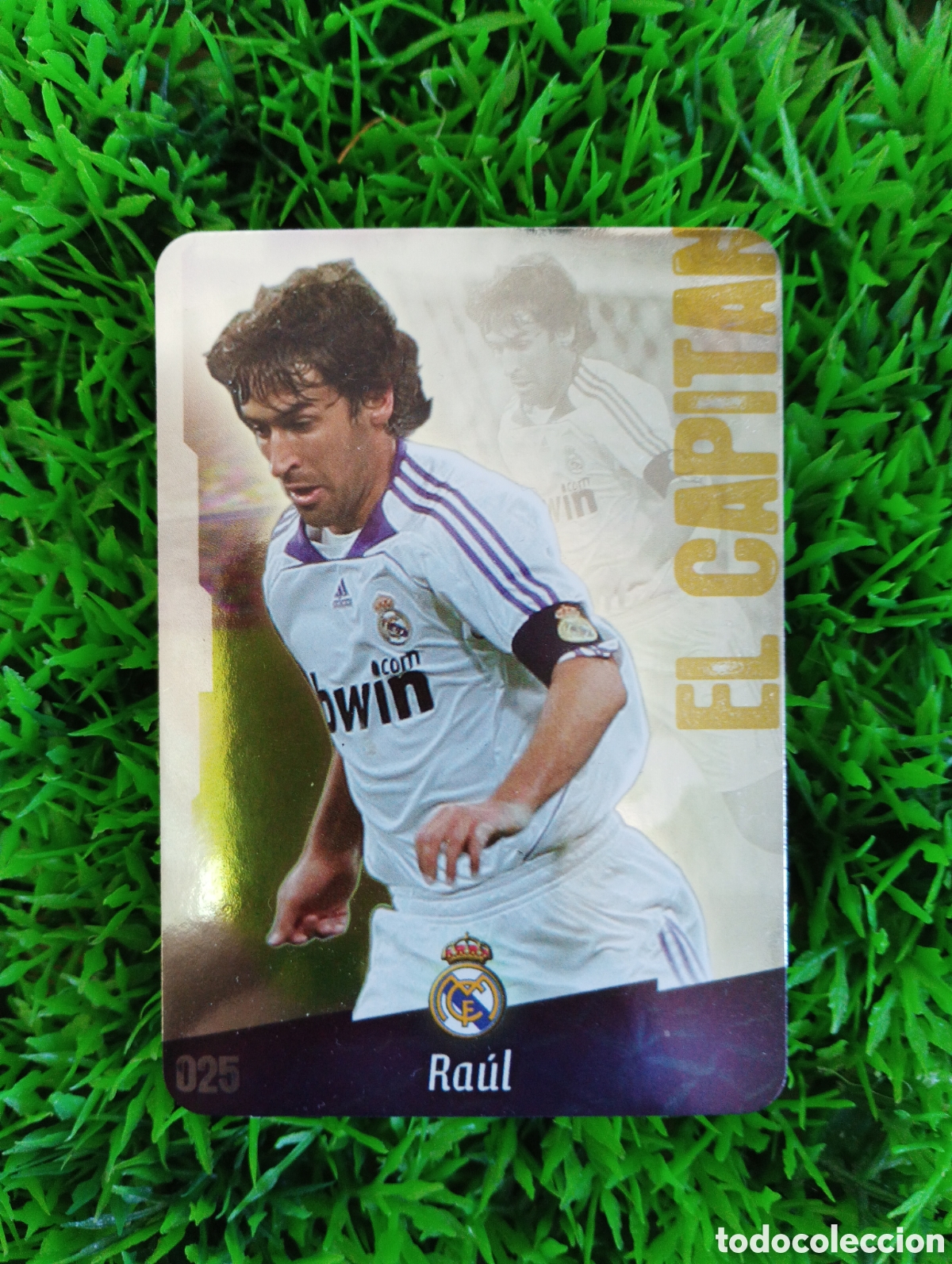 Cromos de F&uacute;tbol: Raul Real Madrid Mundicromo 08-09 # 25