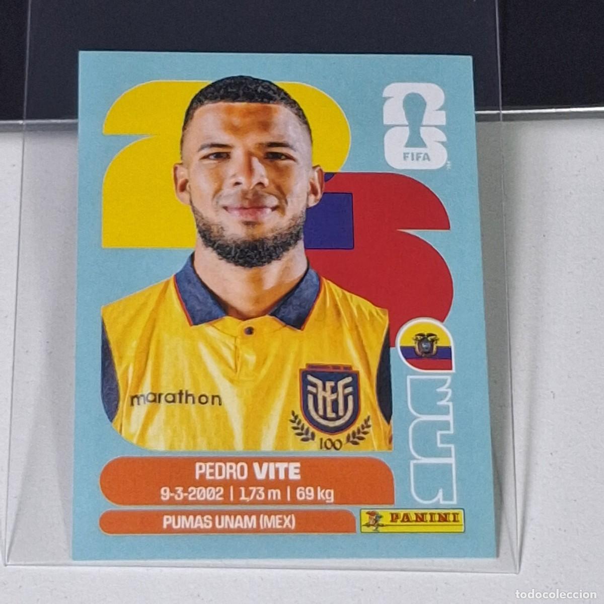 Figurine di Calcio: B18 ECU 12 ECU12 PEDRO VITE ECUADOR MUNDIAL FIFA WORLD CUP 2026 STICKER PANINI