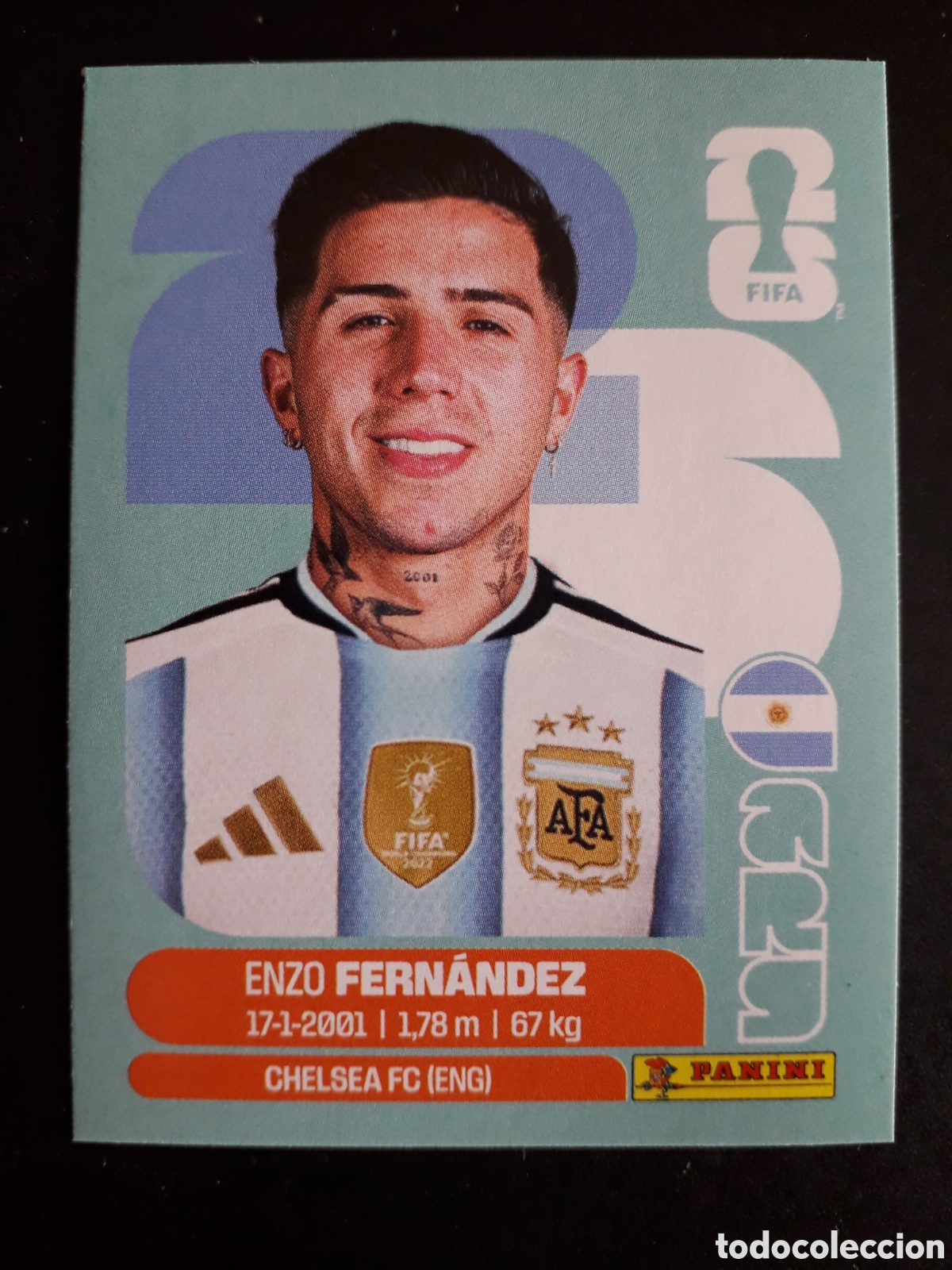 Football Stickers: FERN&Aacute;NDEZ ARGENTINA ARG 8 MUNDIAL F&Uacute;TBOL 2026 FIFA WORLD CUP PANINI SIN PEGAR PEDIDO M&Iacute;NIMO 3&euro;
