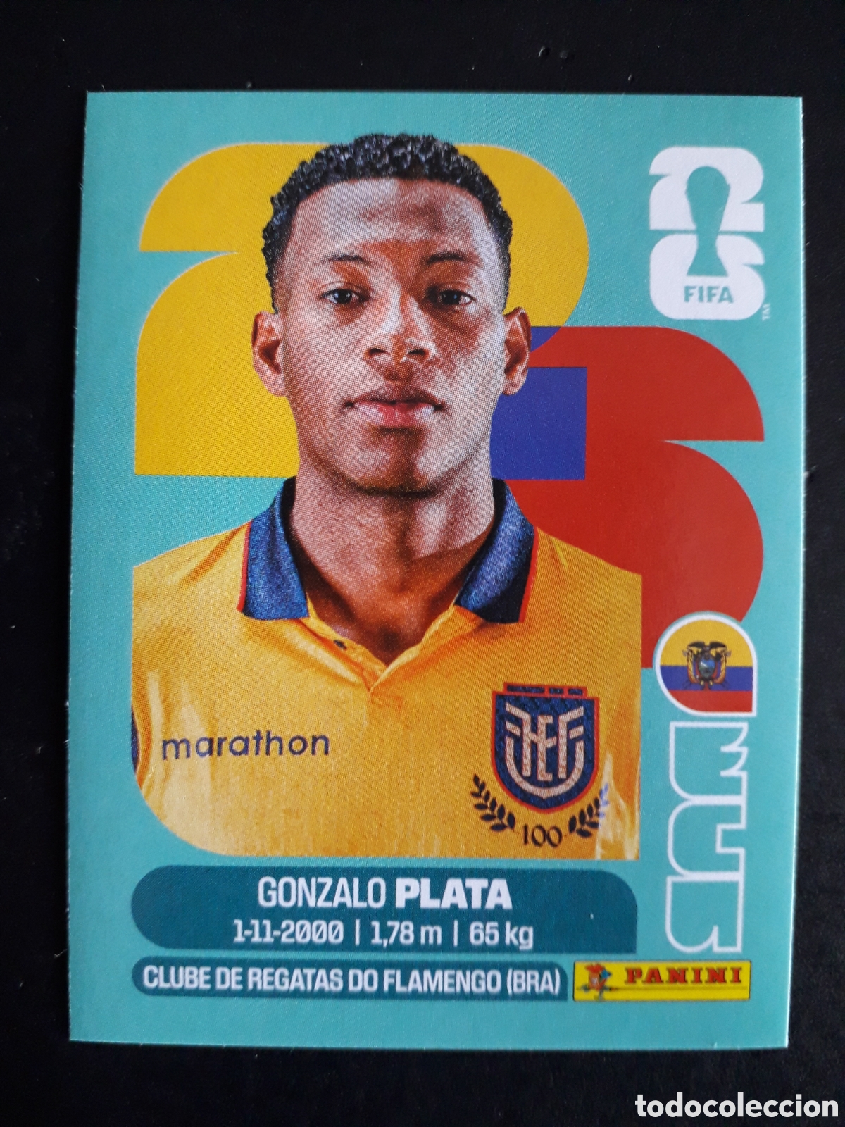 Cromos de F&uacute;tbol: PLATA ECUADOR ECU 16 MUNDIAL F&Uacute;TBOL 2026 FIFA WORLD CUP PANINI SIN PEGAR PEDIDO M&Iacute;NIMO 3&euro;