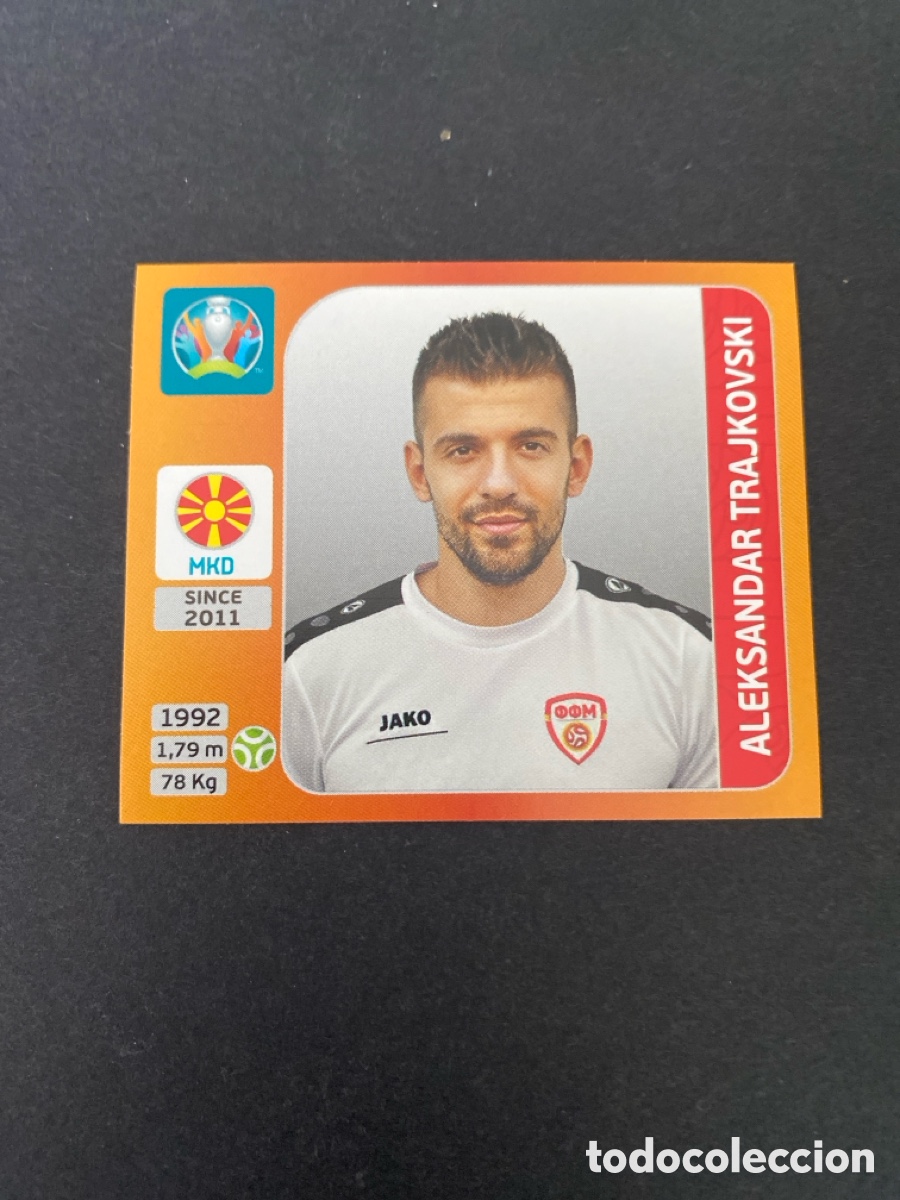 Football Stickers: Cromo Euro 2020 Macedonia N* 308