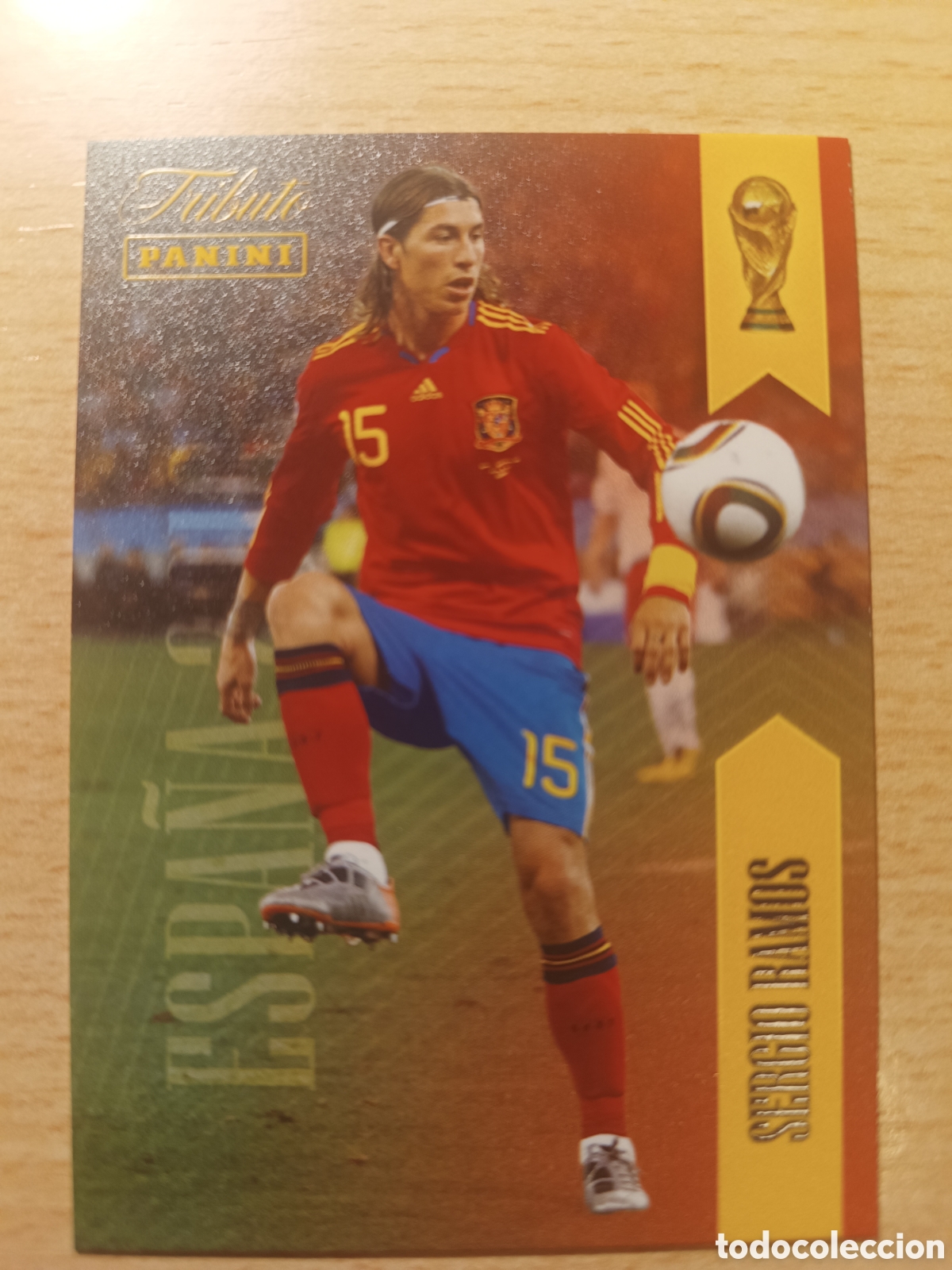 Cromos de F&uacute;tbol: 15 SERGIO RAMOS ESPA&Ntilde;A TRIBUTO 2010 PANINI 26