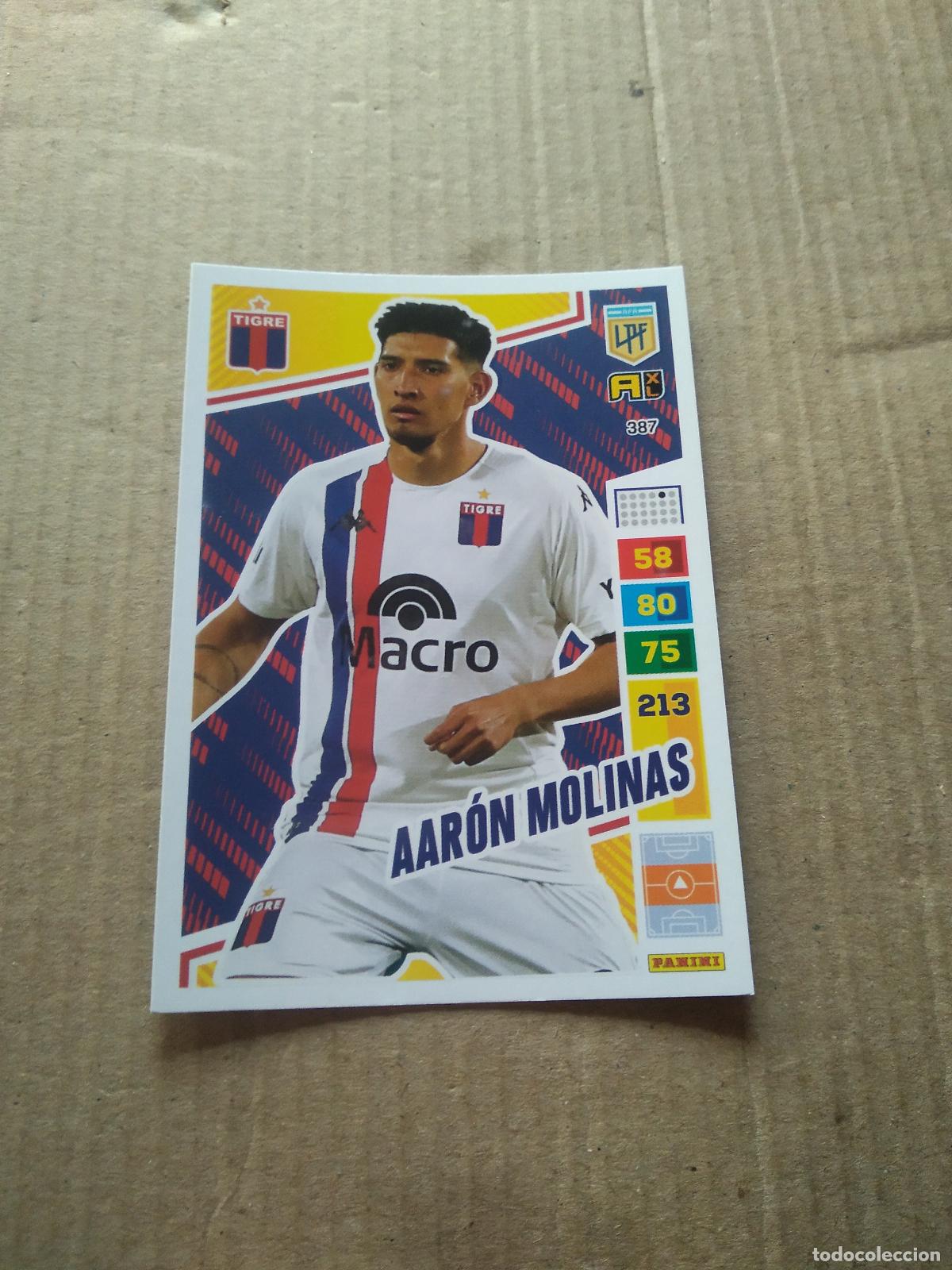 Fu&szlig;ball-Sticker: 387 AARON MOLINAS TIGRE CROMO FUTBOL PANINI ARGENTINO 2023 LIGA ARGENTINA ADRENALYN
