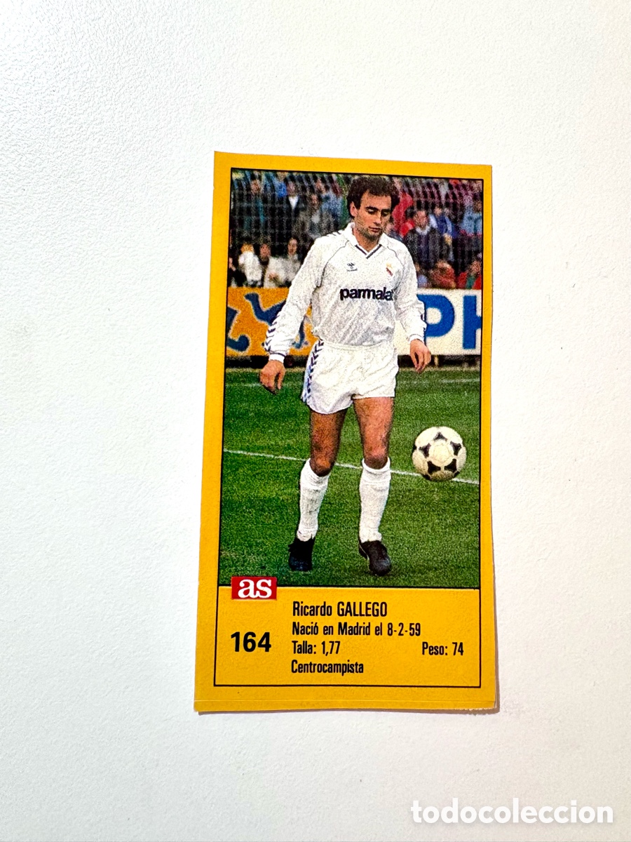 Cromos de F&uacute;tbol: Cromo Gallego n&ordm; 164 Real Madrid Liga 1987-1988 Diario AS (Sin Pegar)