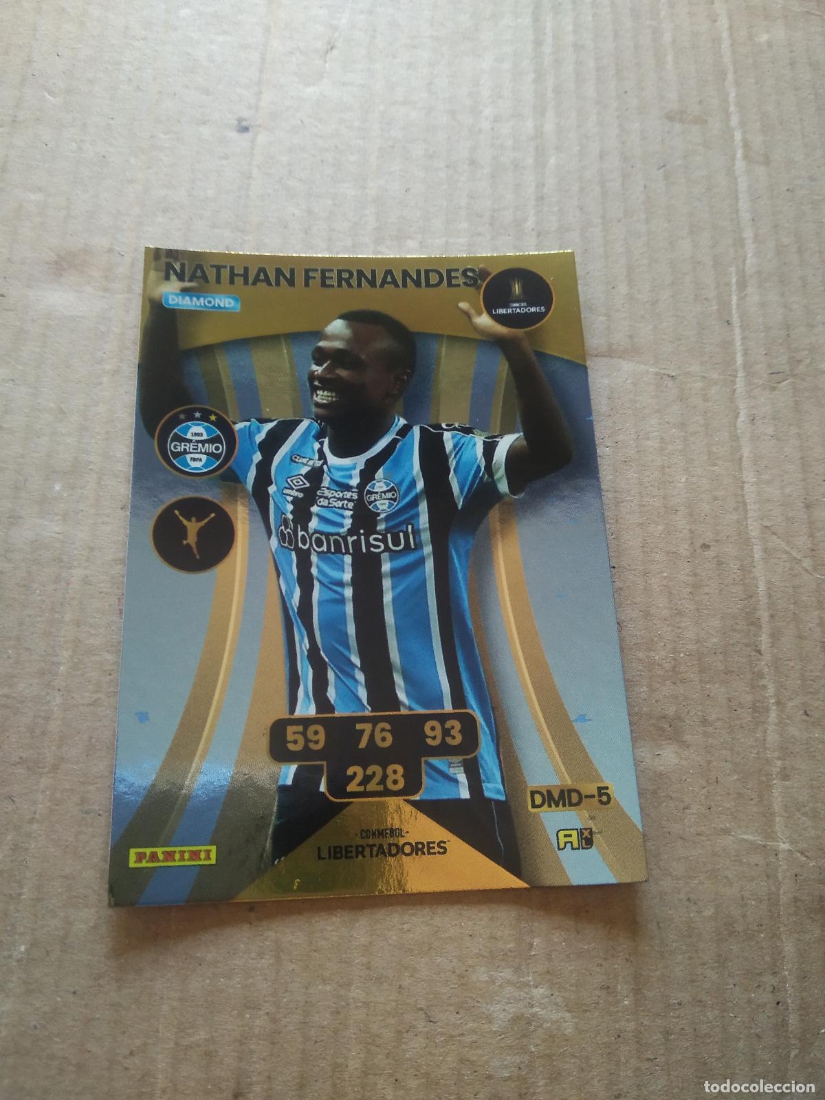 Cromos de F&uacute;tbol: NATHAN FERNANDES GREMIO CROMO FUTBOL PANINI ADRENALYN CONMEBOL LIBERTADORES SUDAMERICANA 2024