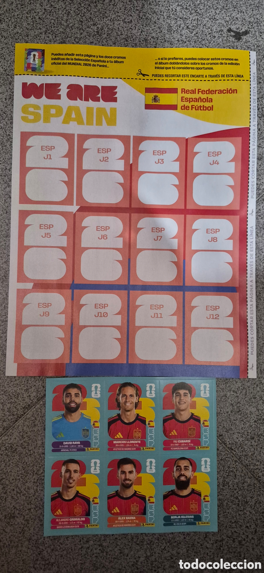 Cromos de F&uacute;tbol: CROMOS MUNDIAL.6 CROMOS Y HOJA DE ACTUALIZACI&Oacute;N