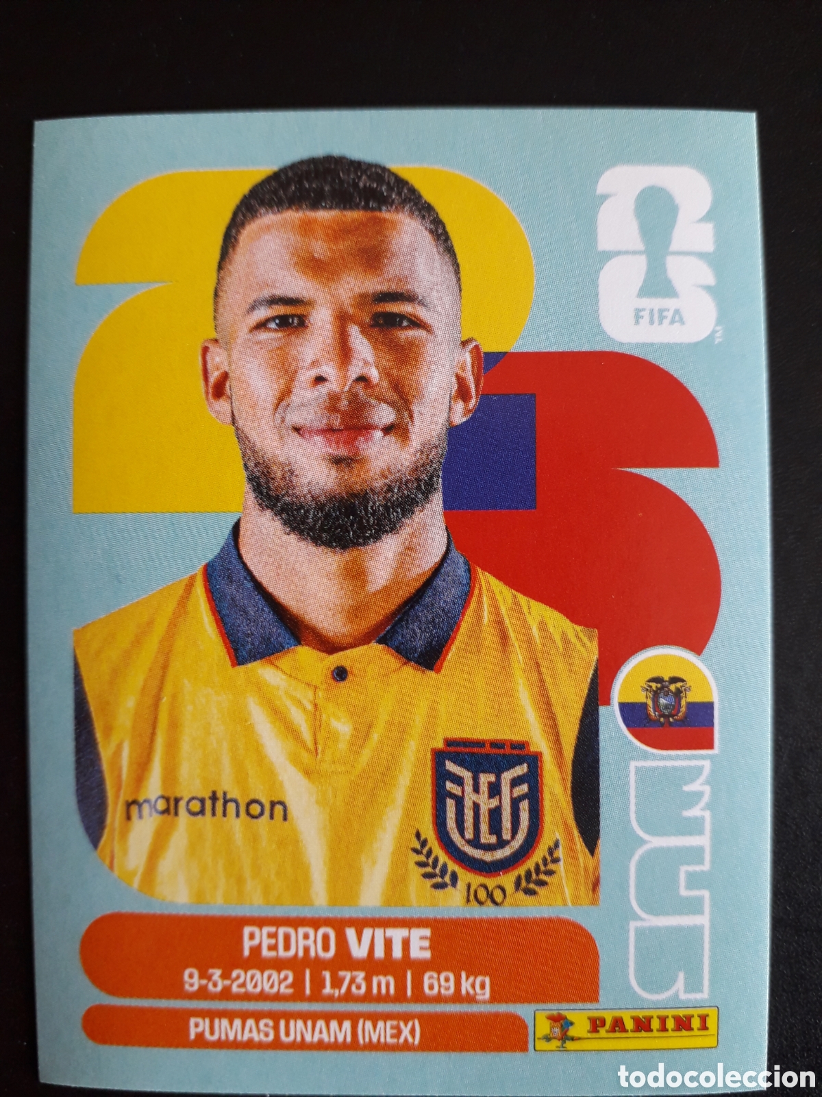 Cromos de F&uacute;tbol: VITE ECUADOR ECU 12 MUNDIAL F&Uacute;TBOL 2026 FIFA WORLD CUP PANINI SIN PEGAR PEDIDO M&Iacute;NIMO 3&euro;.