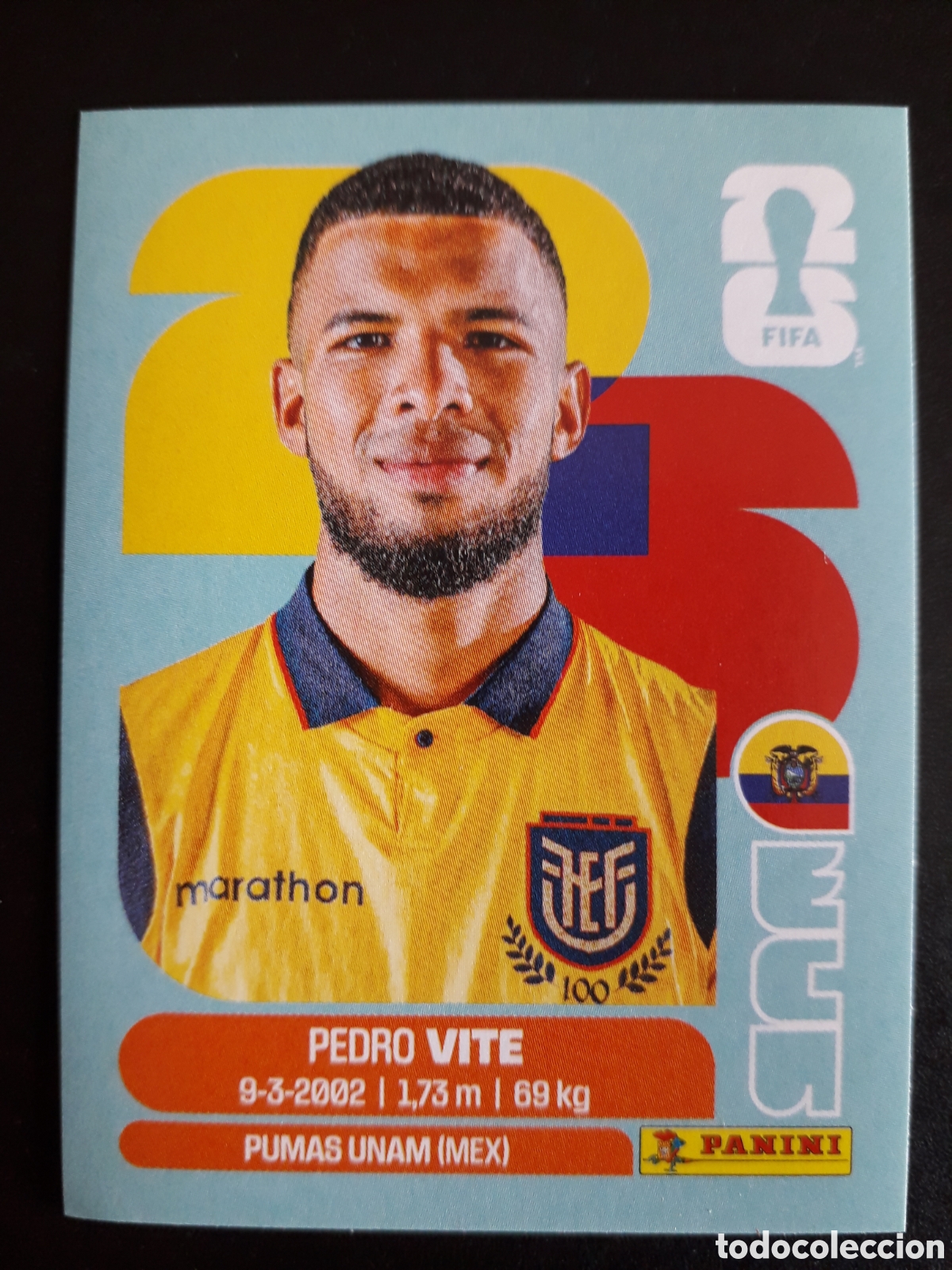 Cromos de F&uacute;tbol: VITE ECUADOR ECU 12 MUNDIAL F&Uacute;TBOL 2026 FIFA WORLD CUP PANINI SIN PEGAR PEDIDO M&Iacute;NIMO 3&euro;