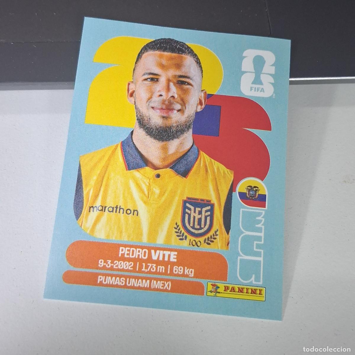 Cromos de F&uacute;tbol: B22 ECU 12 ECU12 PEDRO VITE ECUADOR MUNDIAL FIFA WORLD CUP 2026 STICKER PANINI