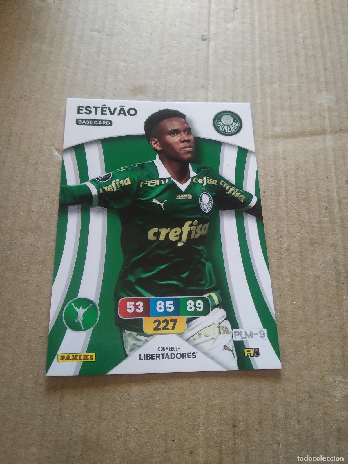 Cromos de F&uacute;tbol: ESTEVAO ROOKIE PALMEIRAS CROMO FUTBOL PANINI ADRENALYN CONMEBOL LIBERTADORES SUDAMERICANA 2024