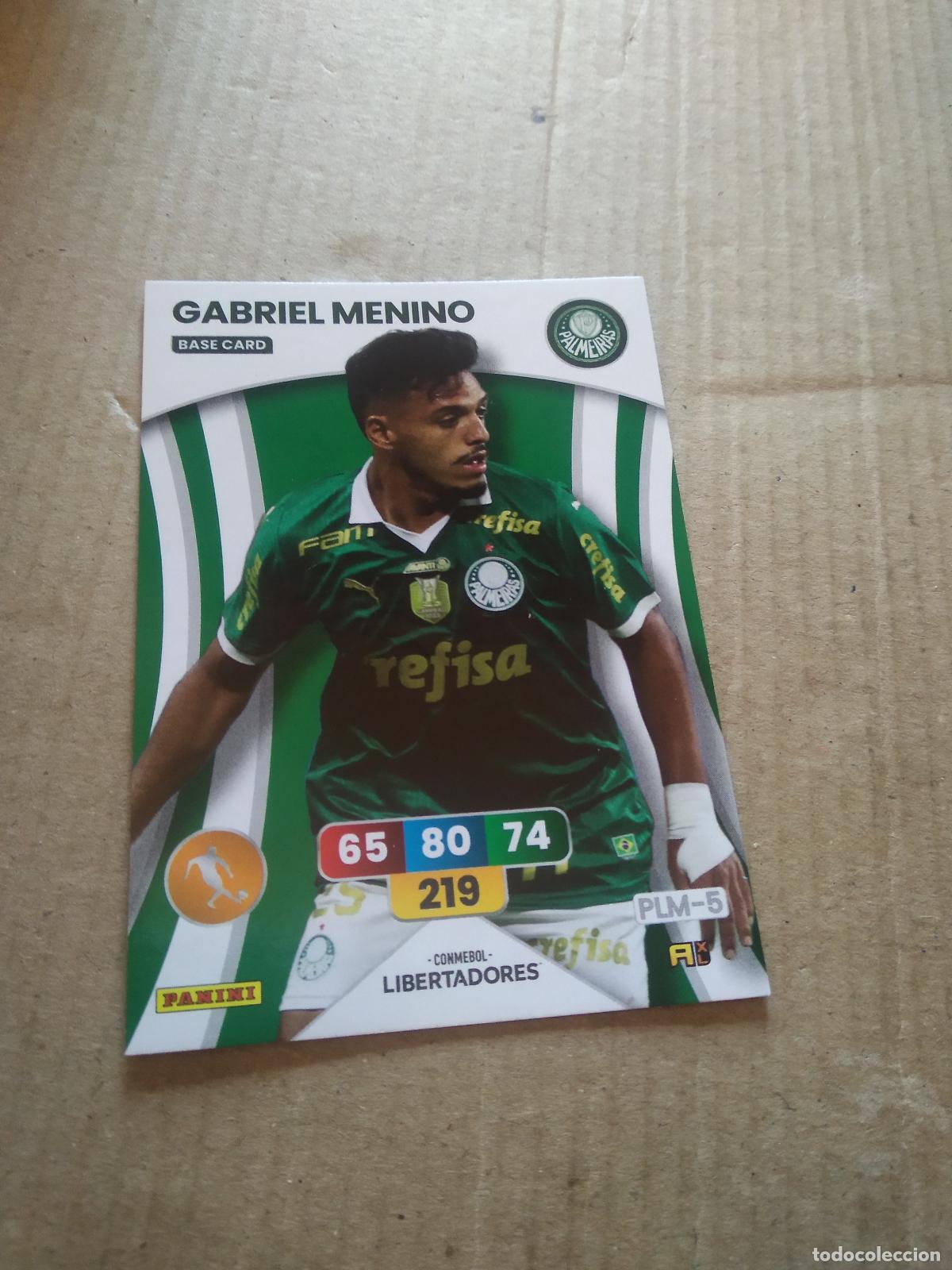 Cartes &agrave; collectionner de Football: GABRIEL MENINO PALMEIRAS CROMO FUTBOL PANINI ADRENALYN CONMEBOL LIBERTADORES SUDAMERICANA 2024