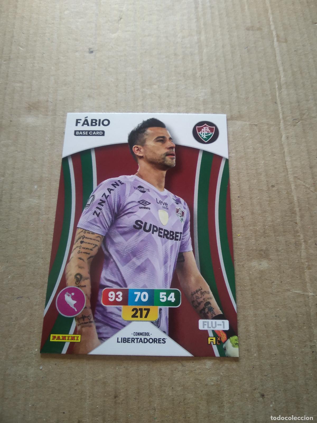 Football Stickers: FABIO FLUMINENSE CROMO FUTBOL PANINI ADRENALYN CONMEBOL LIBERTADORES SUDAMERICANA 2024