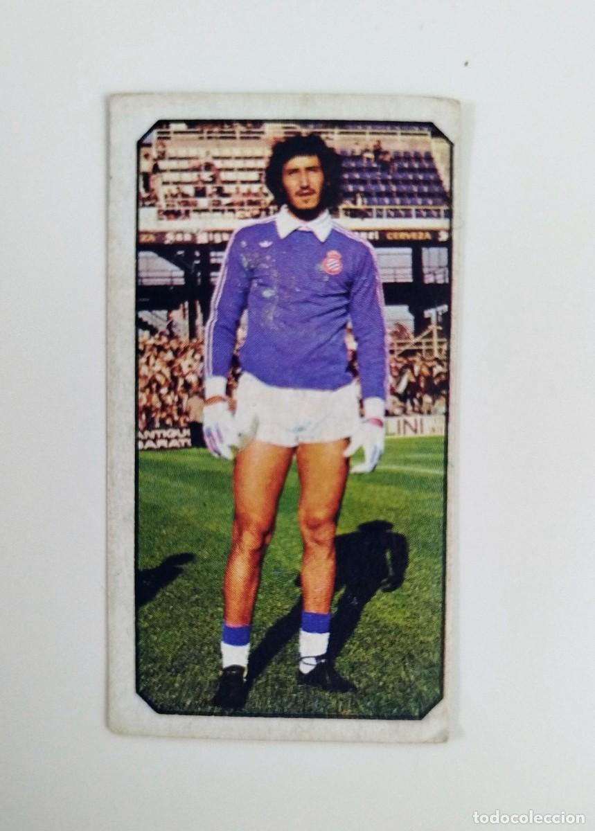 Football Stickers: Gato Fern&aacute;ndez SIN PEGAR NUNCA PEGADO RCD Espa&ntilde;ol Liga Ediciones Este 77 78 / 1977 1978
