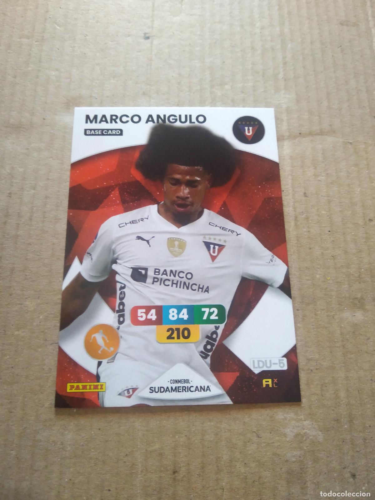 Cromos de F&uacute;tbol: MARCO ANGULO LDU Quito CROMO FUTBOL PANINI ADRENALYN CONMEBOL LIBERTADORES SUDAMERICANA 2024