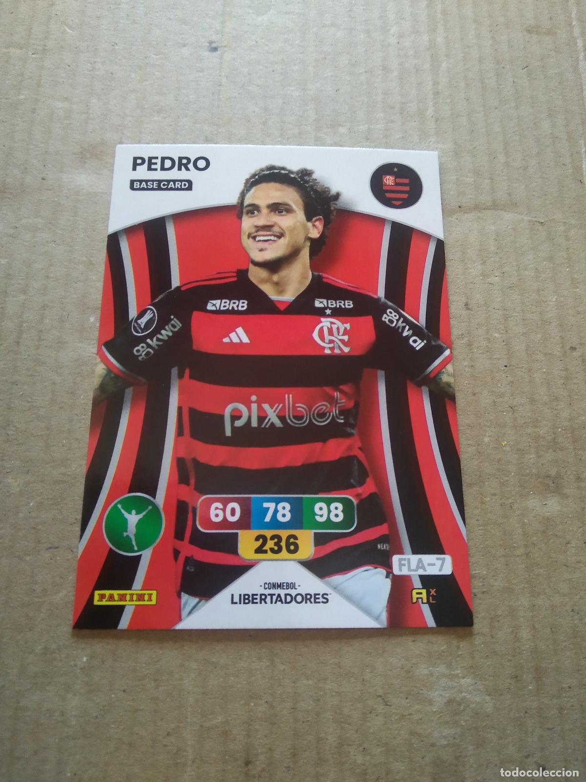 Cromos de Futebol: PEDRO FLAMENGO CROMO FUTBOL PANINI ADRENALYN CONMEBOL LIBERTADORES SUDAMERICANA 2024