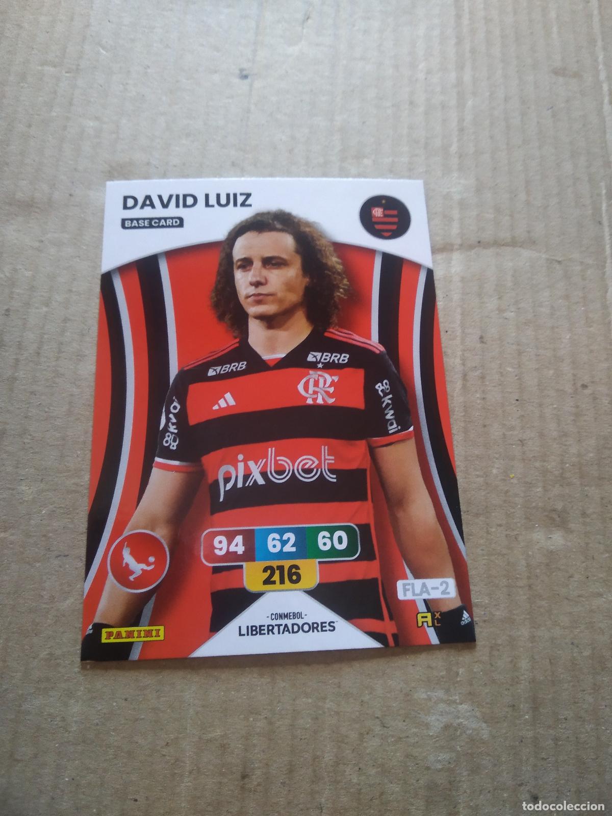 Fu&szlig;ball-Sticker: DAVID LUIZ FLAMENGO CROMO FUTBOL PANINI ADRENALYN CONMEBOL LIBERTADORES SUDAMERICANA 2024