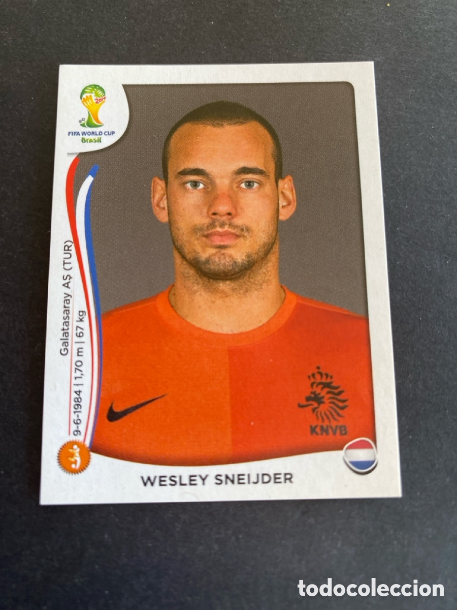 Cromos de F&uacute;tbol: Cromo Mundial Brasil 2014 Holanda N* 139