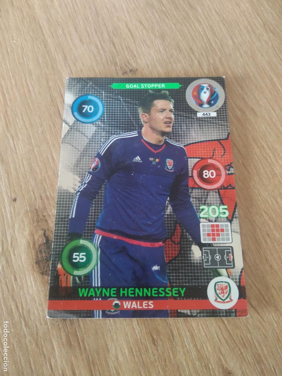 Football Stickers: 443 WAYNE HENNESSEY WALES GALES CROMO FUTBOL PANINI EURO 2016 EUROCOPA ADRENALYN
