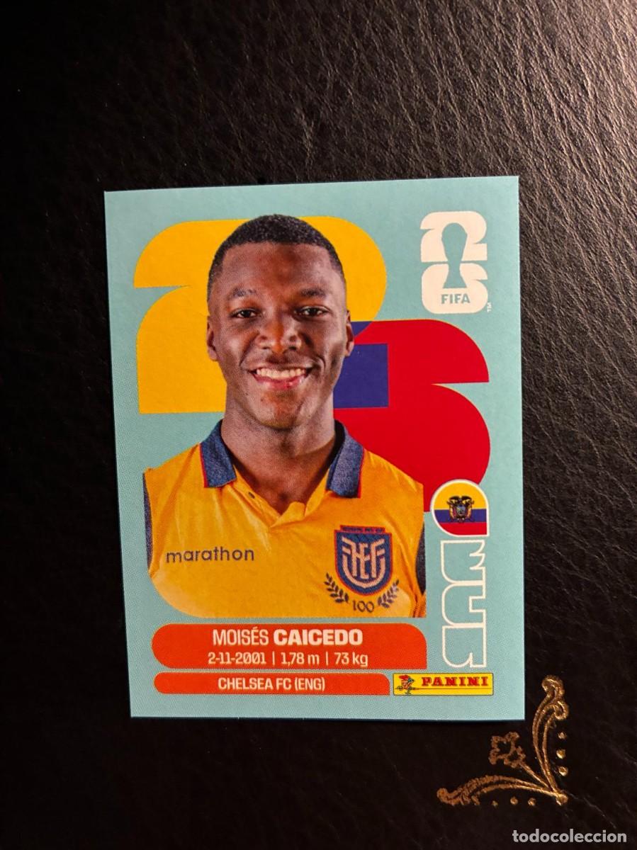 Football Stickers: ECU 9 MOISES CAICEDO ECU9 ECUADOR FIFA WORLD CUP MUNDIAL 2026 26 PANINI