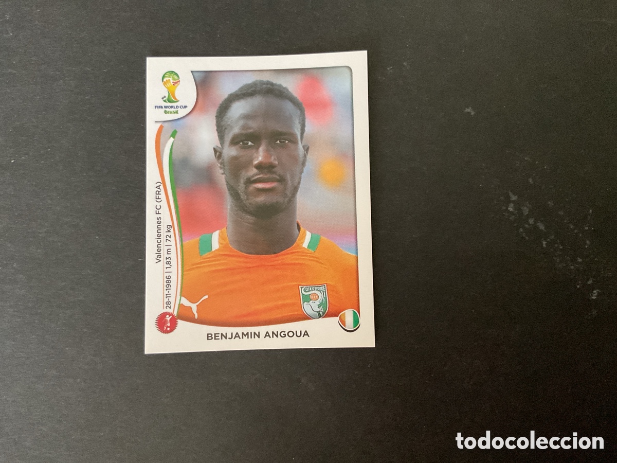 Cromos de F&uacute;tbol: Cromo Mundial Brasil 2014 Costa Marfil N*229
