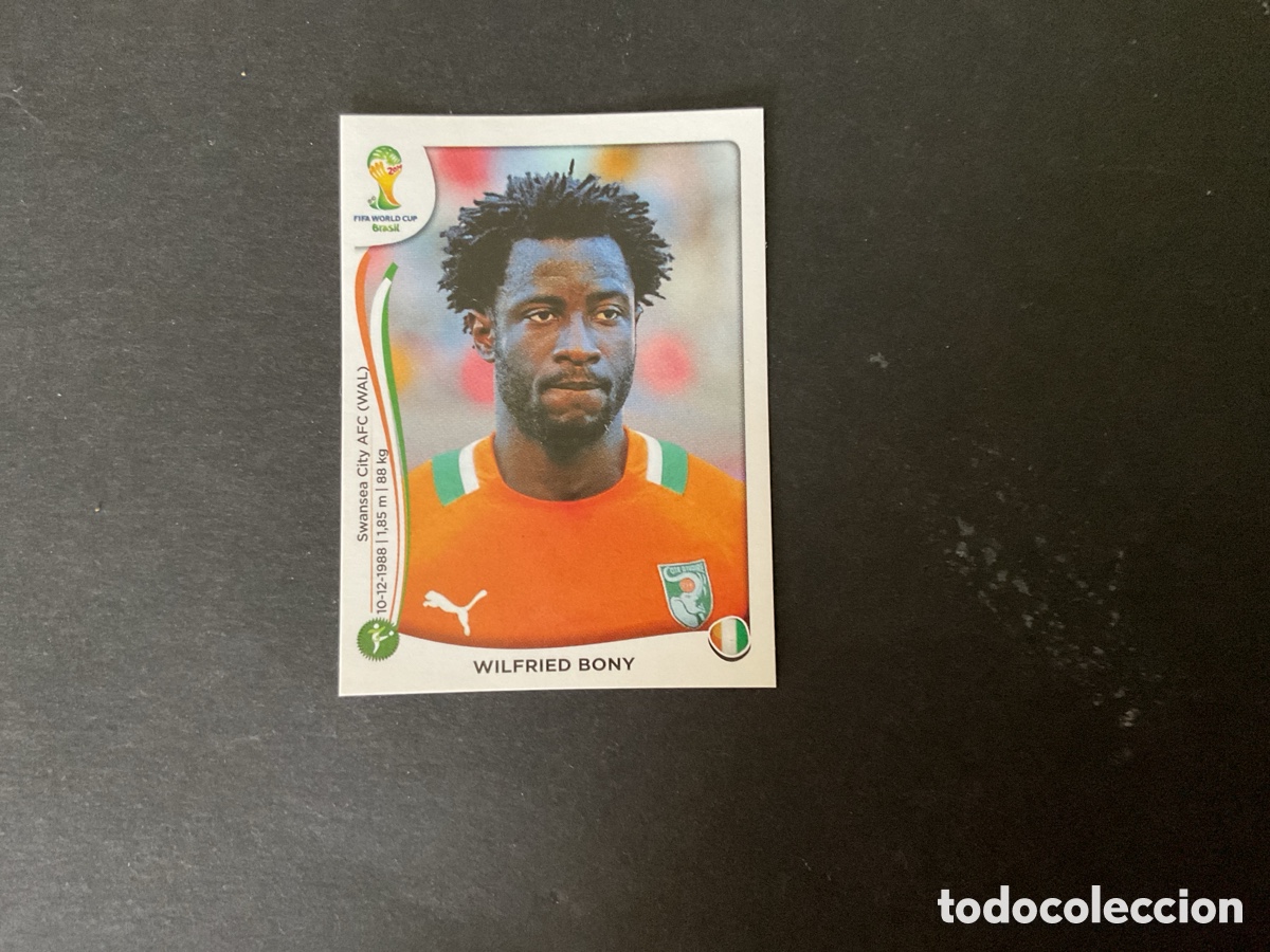 Cromos de F&uacute;tbol: Cromo Mundial Brasil 2014 Costa Marfil N*238