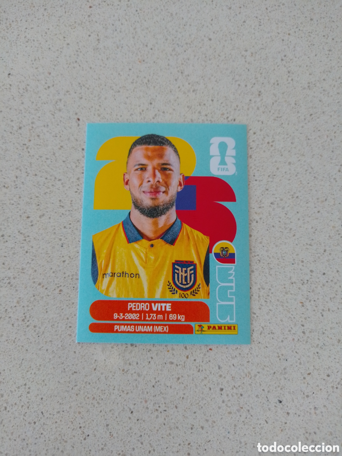 Football Stickers: CROMO NUMERO 12 VITE ECUADOR. MUNDIAL 2026. PANINI.