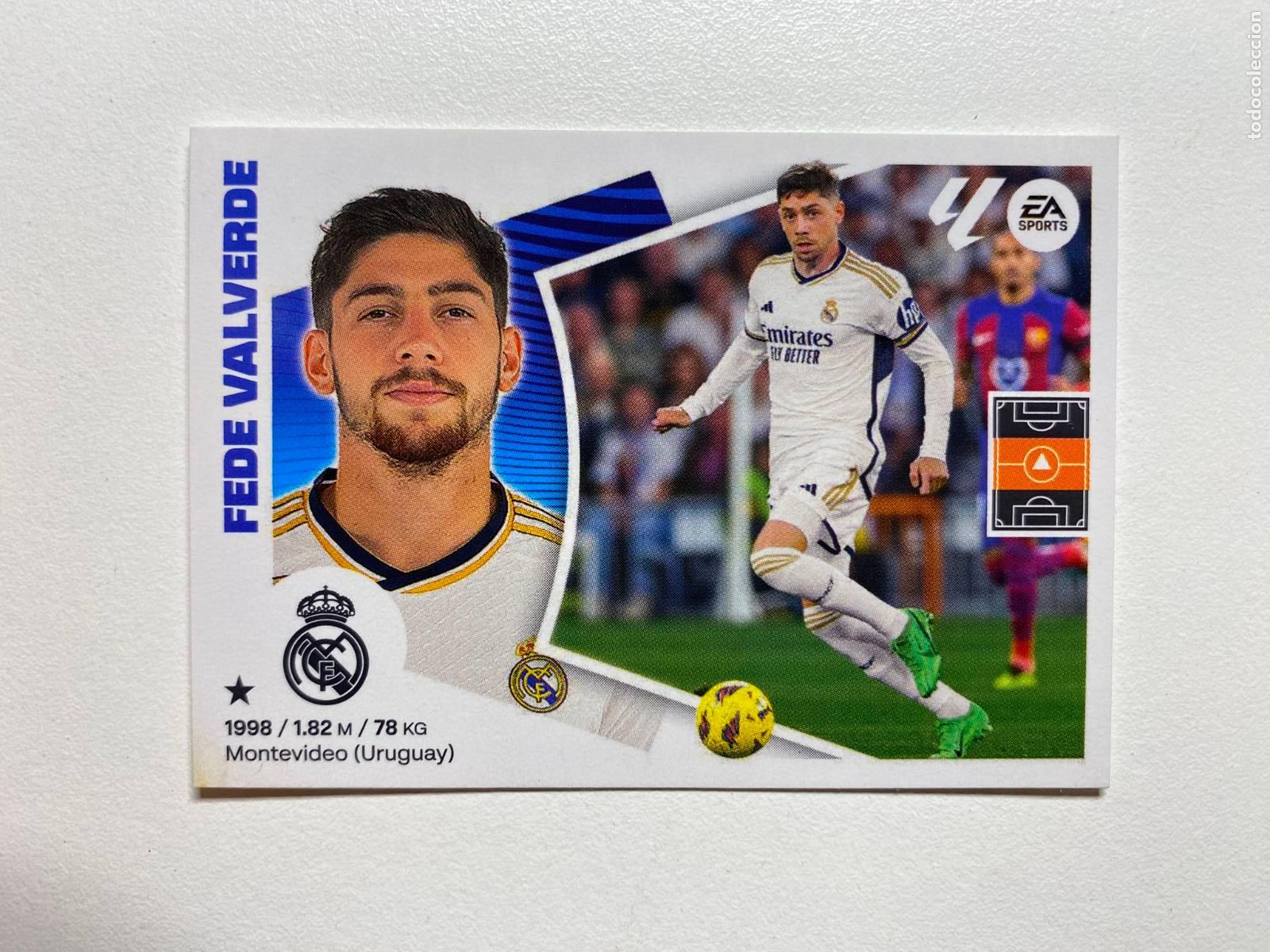Cromos de F&uacute;tbol: N 14 REAL MADRID Fede Valverde LIGA ESTE 24 25 &Aacute;LBUM CROMOS PANINI 2024 2025