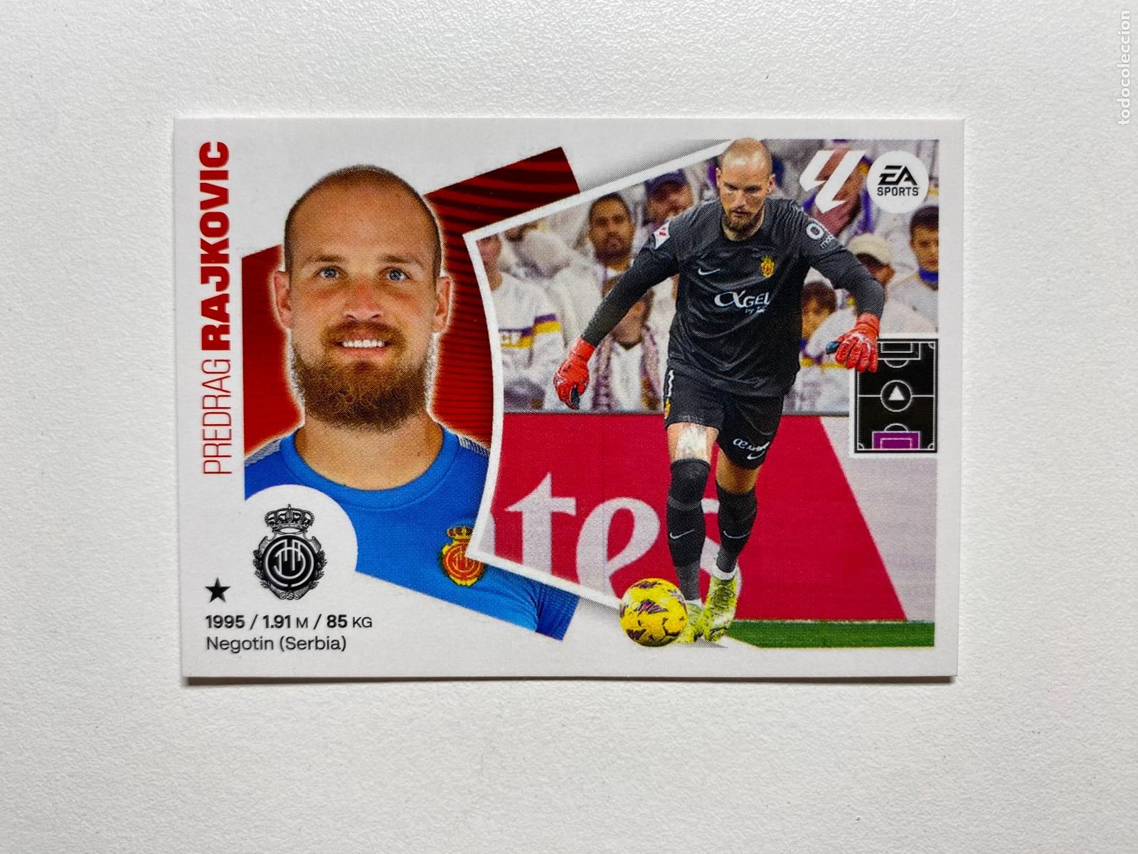 Cromos de F&uacute;tbol: N 3 RCD MALLORCA Rajkovic LIGA ESTE 24 25 &Aacute;LBUM CROMOS PANINI 2024 2025