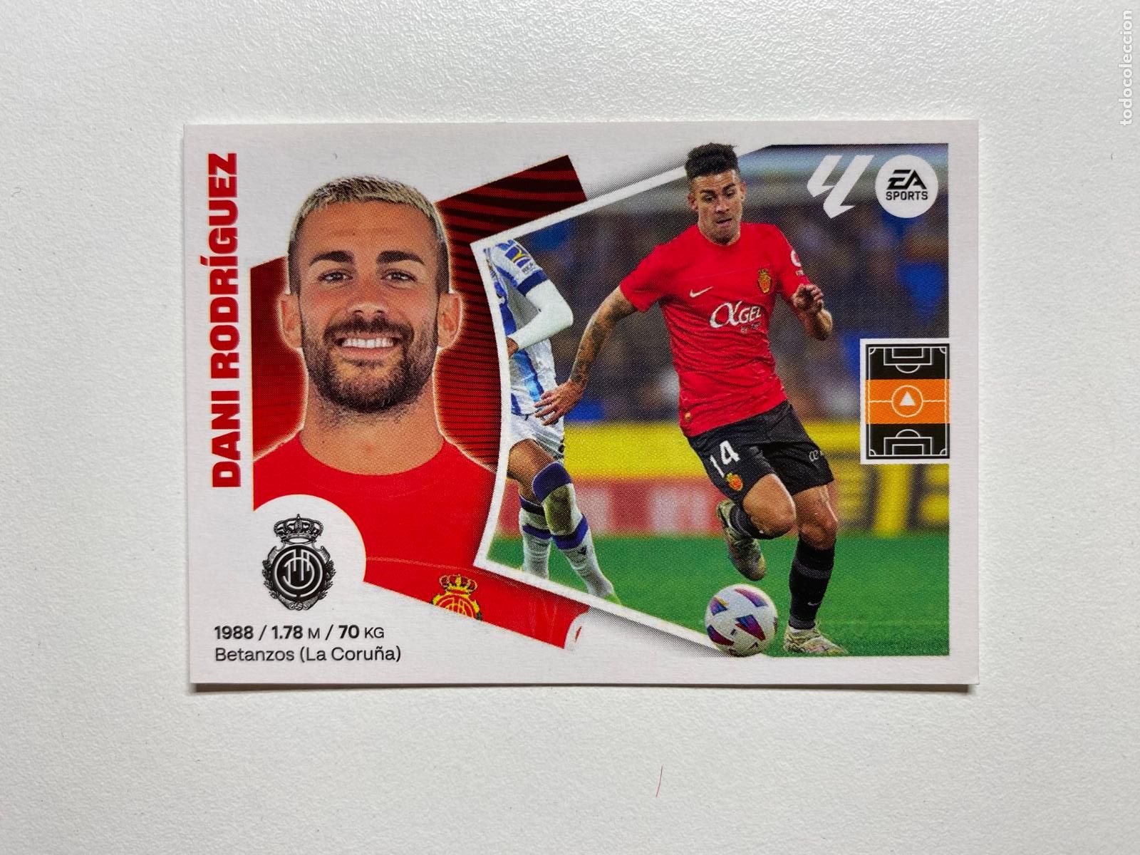 Cromos de F&uacute;tbol: N 15 RCD MALLORCA Dani Rodr&iacute;guez LIGA ESTE 24 25 &Aacute;LBUM CROMOS PANINI 2024 2025