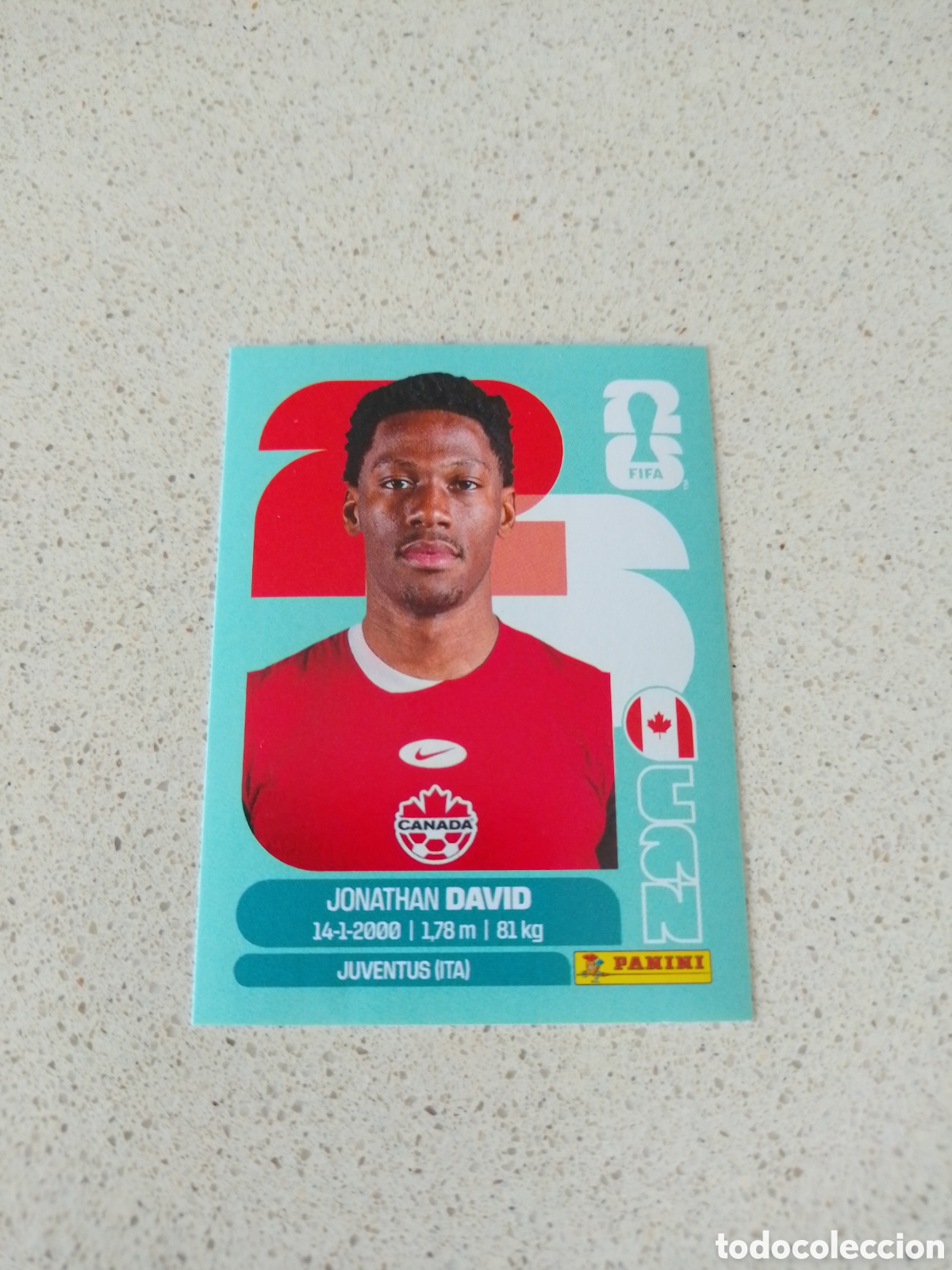 Cromos de F&uacute;tbol: CROMO NUMERO 20 DAVID CANADA. MUNDIAL 2026. PANINI.