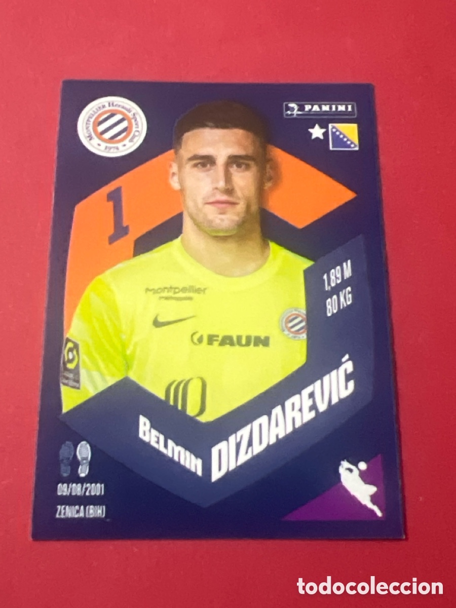 Football Stickers: C1130. Panini Foot France stickers 2023 2024 23 24 - 257 Dizdarevic