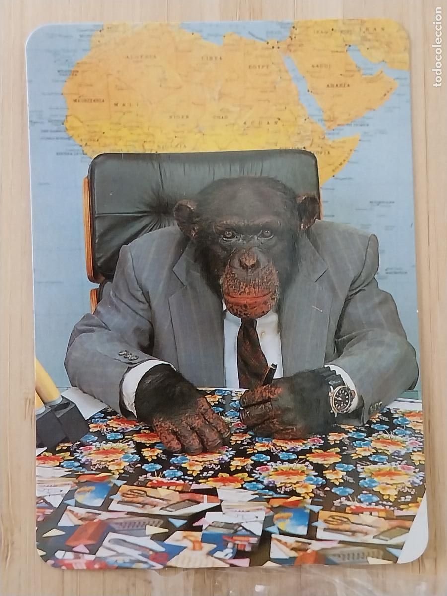 Cromos de Futebol: CHIMPANCE NEGOCIOS CALENDARIO 1999 PUBLI *** DECORACIONES DONOSTIARRA *** REF BO544