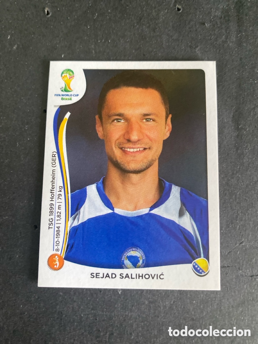 Cromos de F&uacute;tbol: Cromo Mundial Brasil 2014 Bosnia y Herzegovina N*445