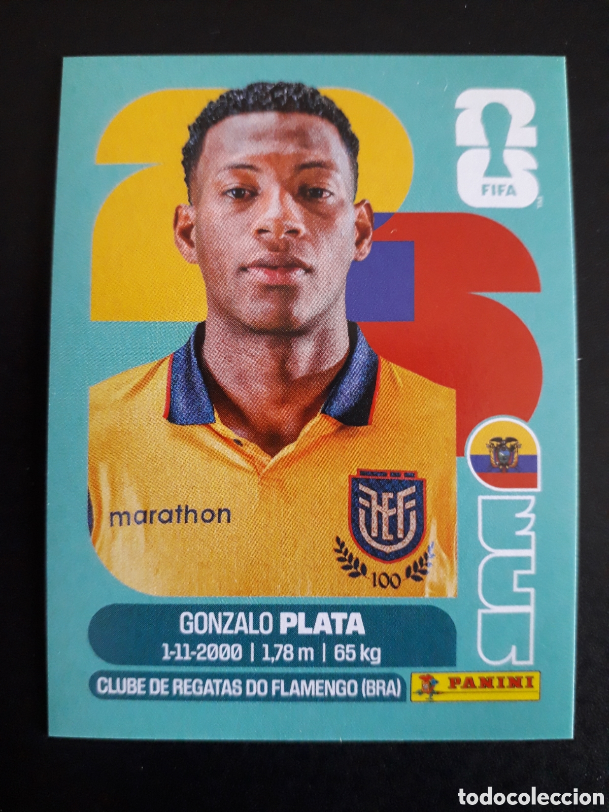 Cromos de F&uacute;tbol: PLATA ECUADOR ECU 16 MUNDIAL F&Uacute;TBOL 2026 FIFA WORLD CUP PANINI SIN PEGAR PEDIDO M&Iacute;NIMO 3&euro;