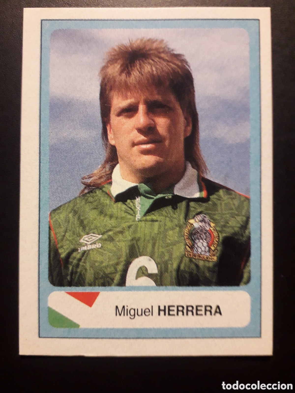 Figurine di Calcio: HERRERA M&Eacute;XICO N&deg; 302 MUNDIAL F&Uacute;TBOL USA/ ESTADOS UNIDOS 94 1994 ED ESTADIO SIN PEG PEDIDO M&Iacute;NIMO 3&euro;