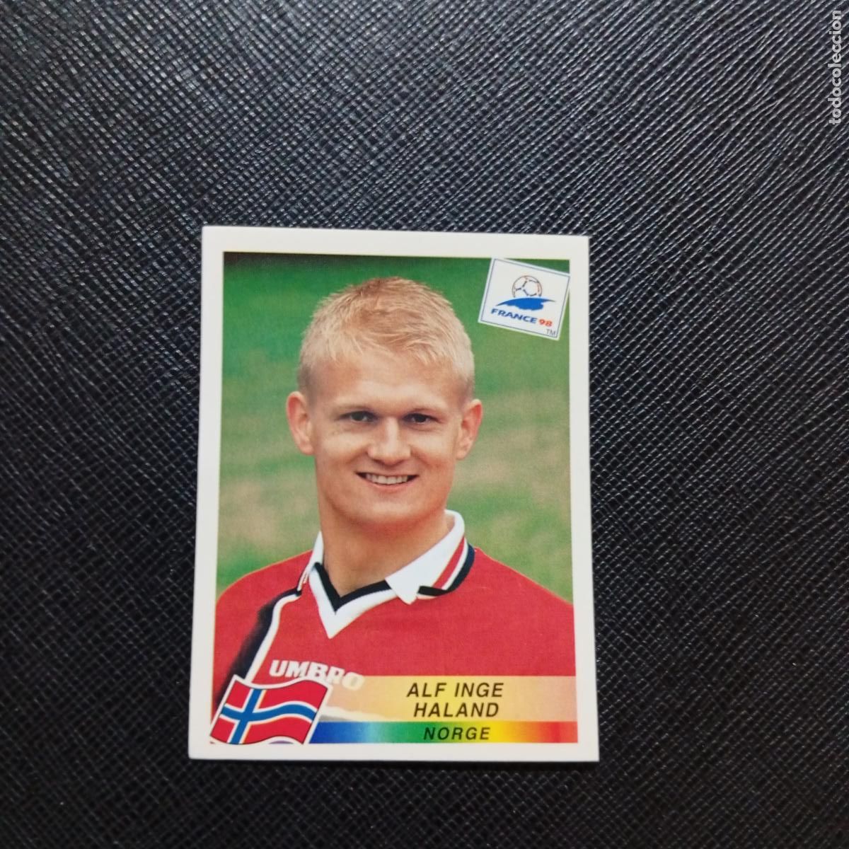 Cromos de F&uacute;tbol: 70 ALF INGE HALAND NORUEGA PANINI 1998 MUNDIAL CROMO FUTBOL FRANCIA 98 - SIN PEGAR - A21 PG262
