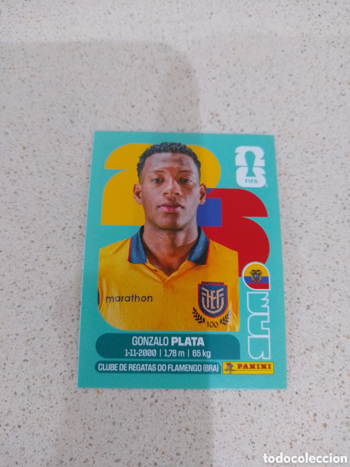 Figurine di Calcio: CROMO NUMERO 16 PLATA ECUADOR. MUNDIAL 2026. PANINI.