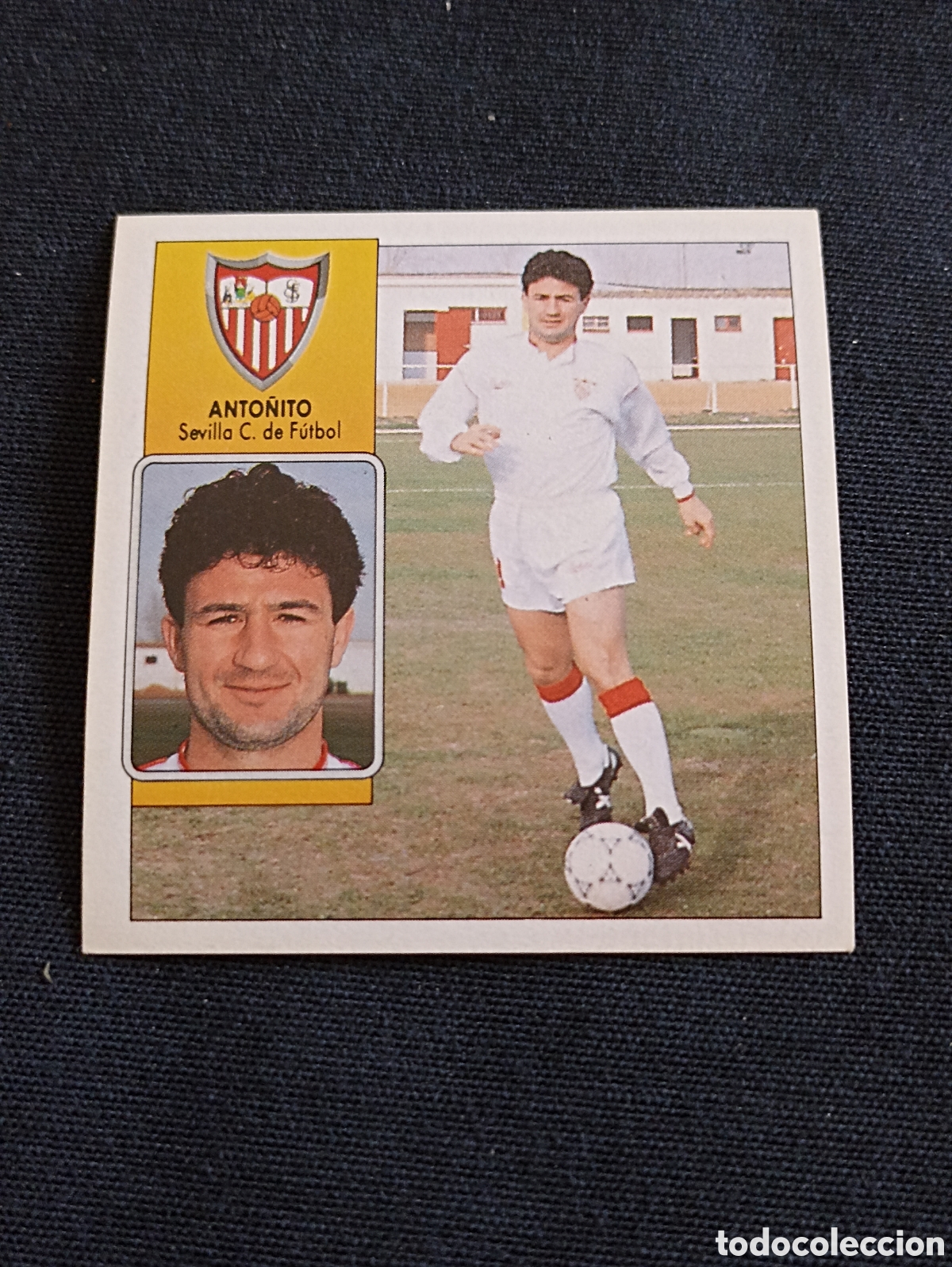 Cromos de F&uacute;tbol: Anto&ntilde;ito ( Sevilla club de f&uacute;tbol ). Liga este 92-93. Nunca pegado