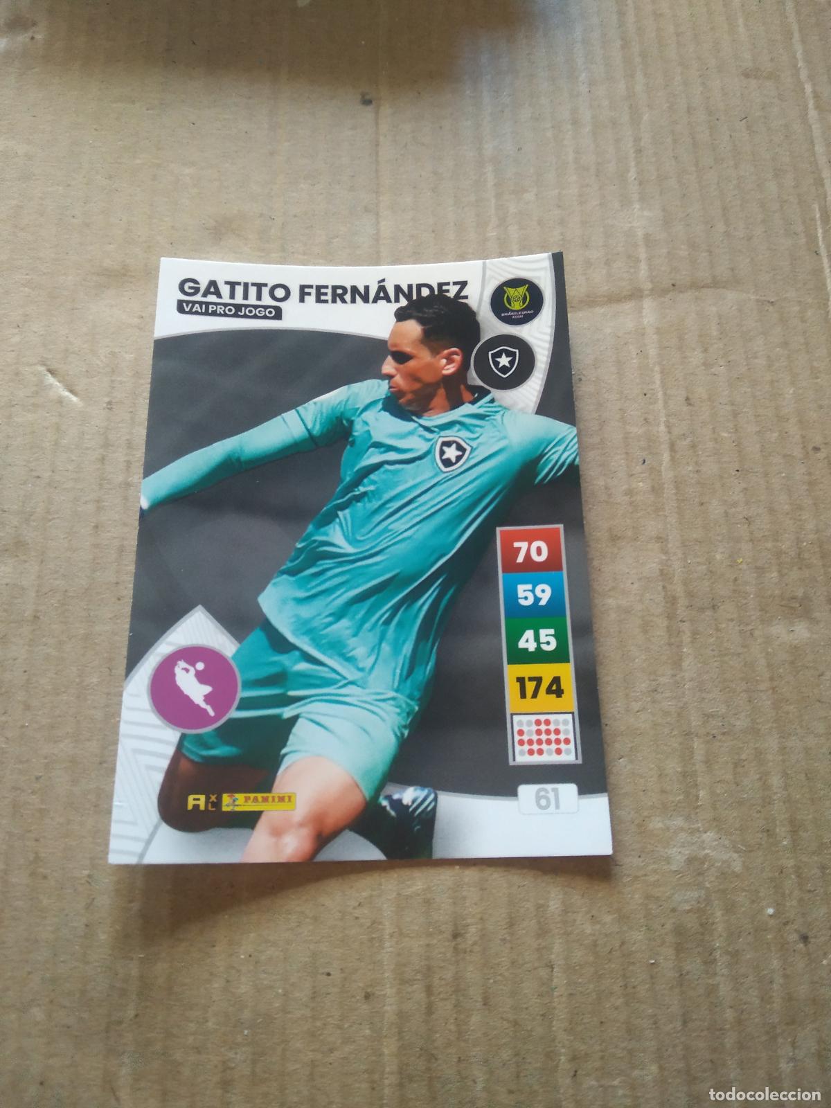 Football Stickers: 61 GATITO FERNANDEZ BOTAFOGO CROMO FUTBOL PANINI ADRENALYN LIGA BRASIL 2023 BRASILEIRAO