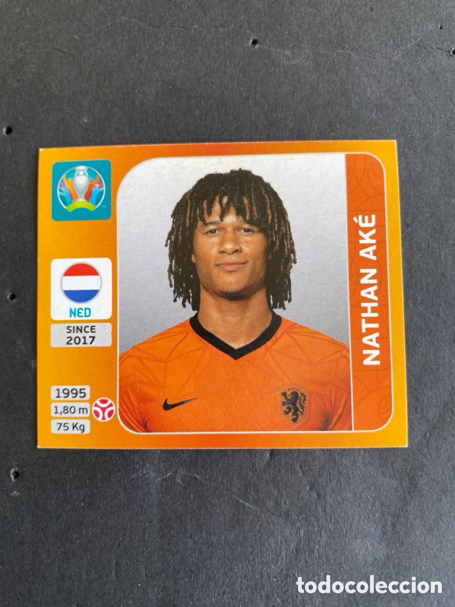 Football Stickers: Cromo Mundial Euro 2020 Pa&iacute;ses Bajos N* 271